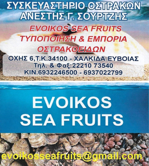 e-shop design, e-business development, SEO, e-commerce, digital marketing 