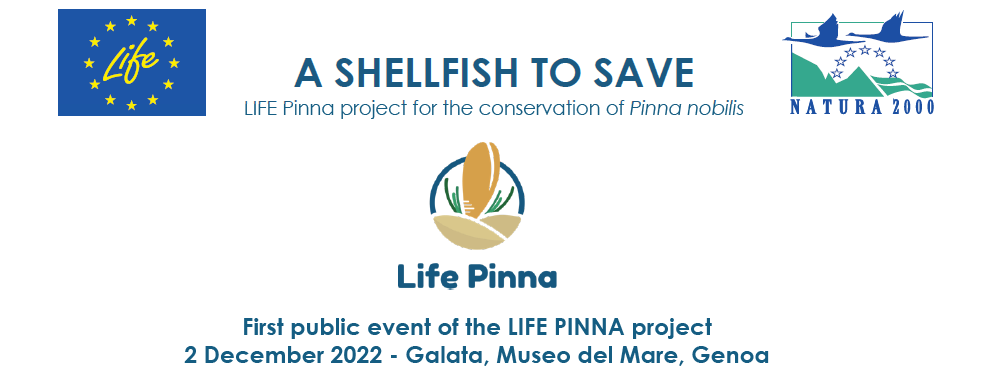 Life Pinna - First public event of the LIFE PINNA project