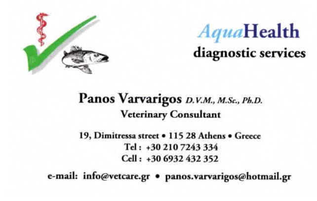 e-shop design, e-business development, SEO, e-commerce, digital marketing 