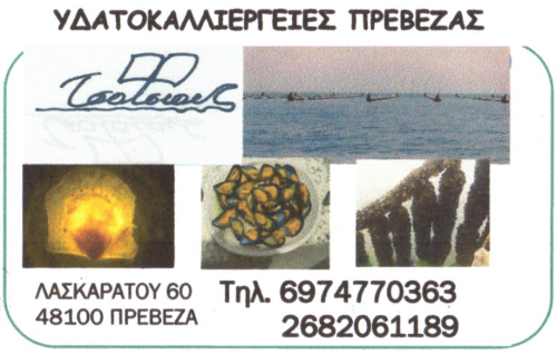 e-shop design, e-business development, SEO, e-commerce, digital marketing 